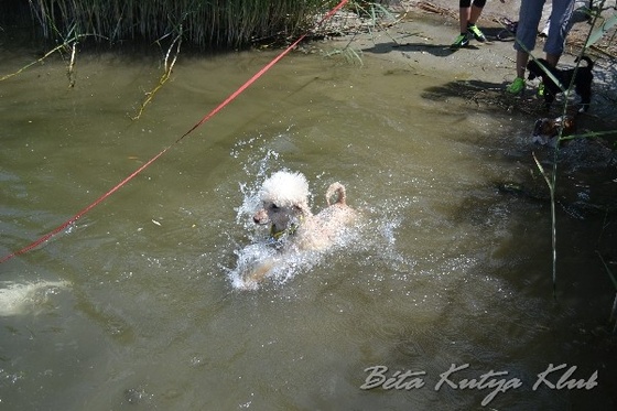 BKK tabor 2013 3411