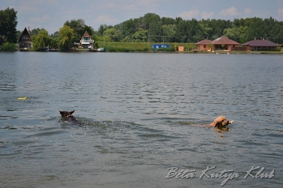 BKK tabor 2013 3494