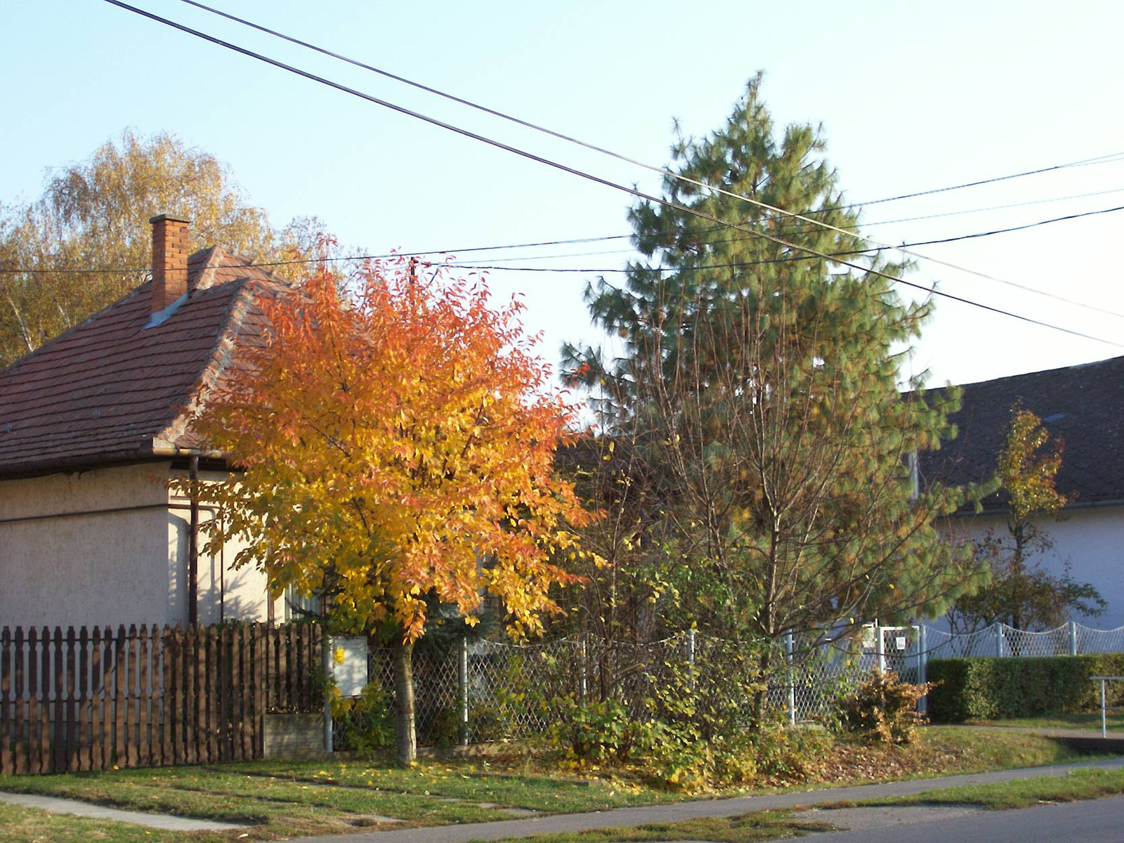 Most múlik pontosan (ősz, 2011.) 027