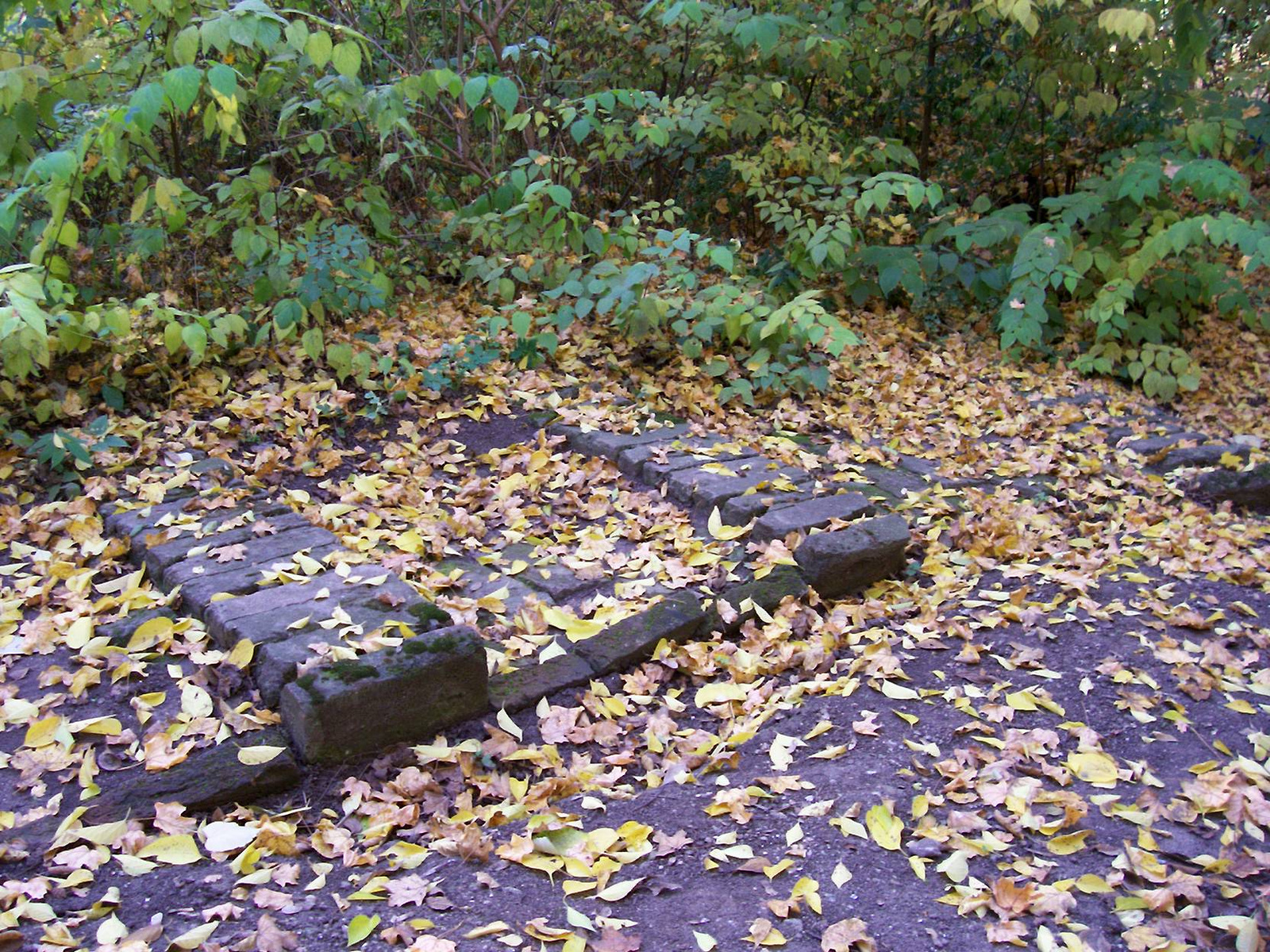 Most múlik pontosan (ősz, 2011.) 038