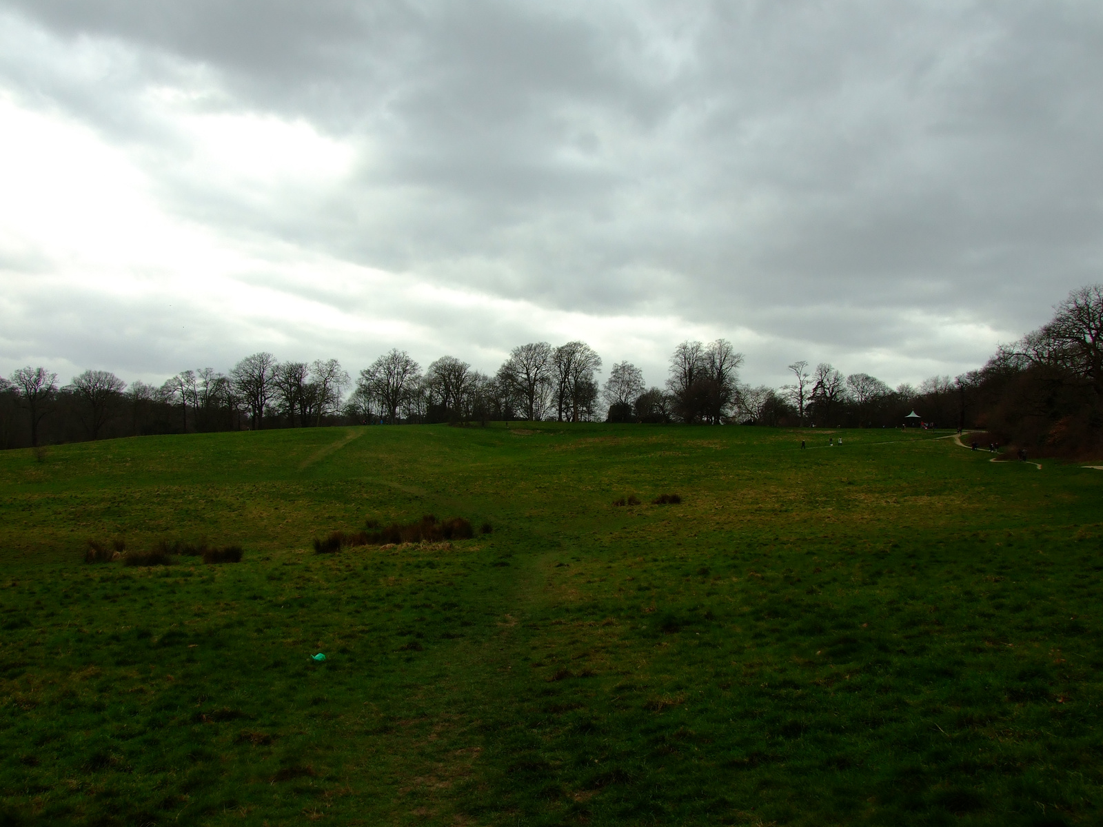 Hampstead Heath