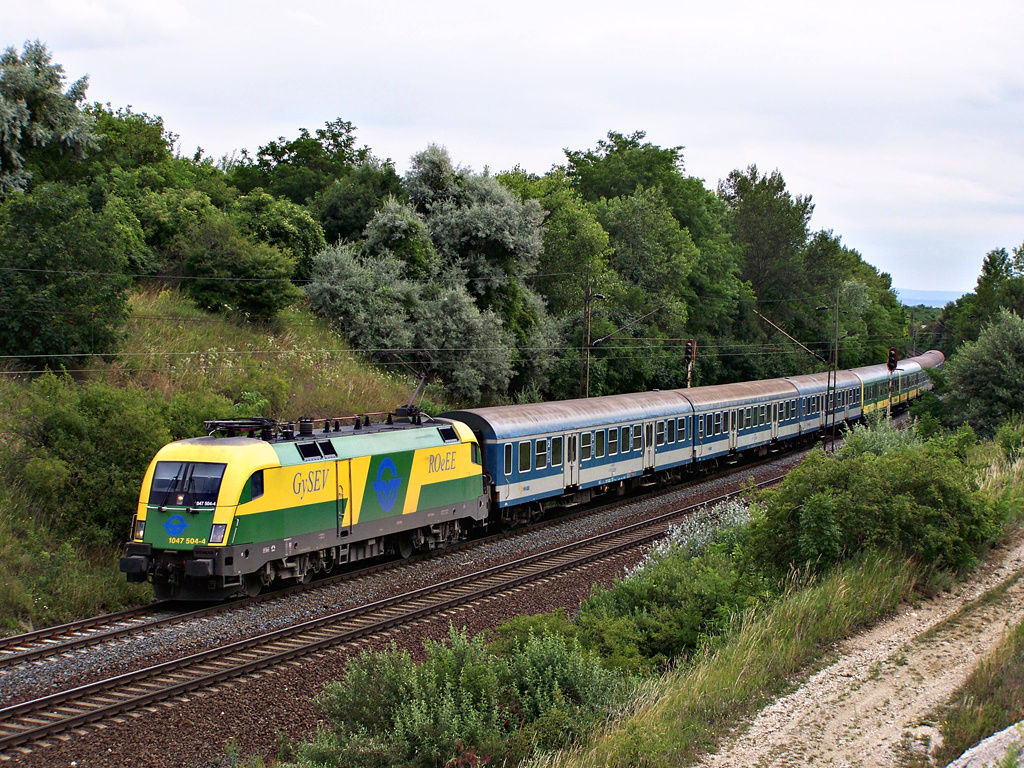 1047 504 - 4 Szár (2011.07.03)