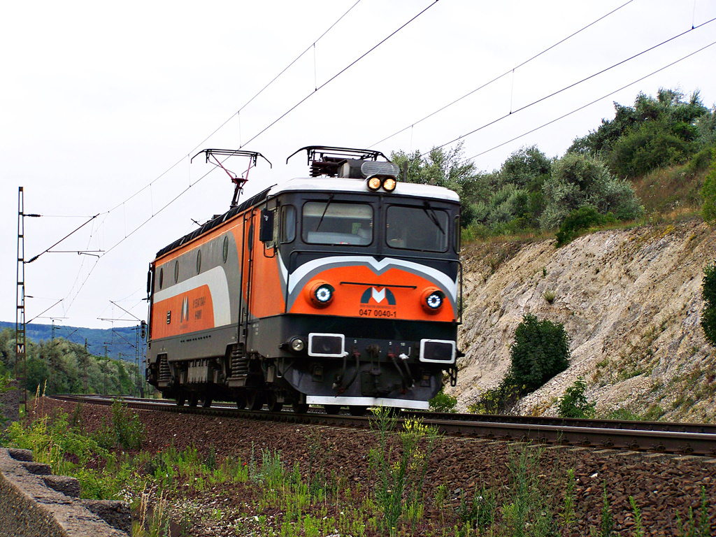 470 040 -1 Szár (2011.07.03).02