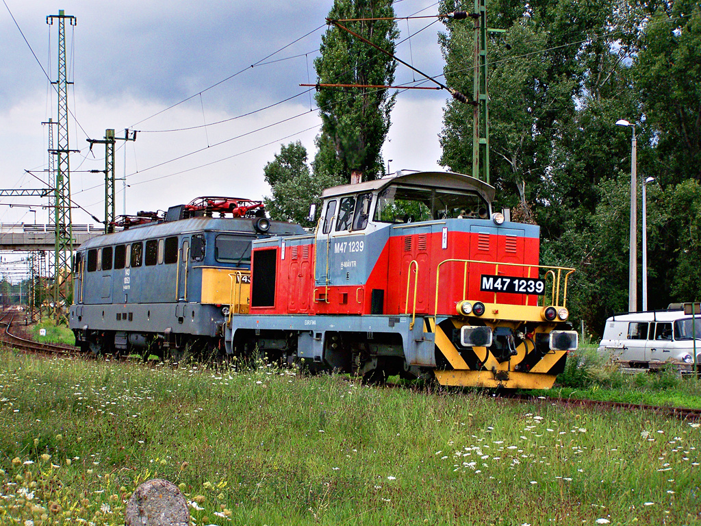 M47 - 1239 + V43 - 1053 Kiksunhalas (2011.08.02).