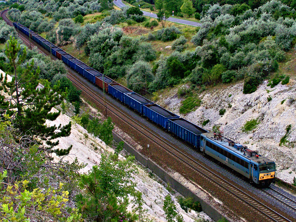 V63 - 040 Szár (2011.07.03).