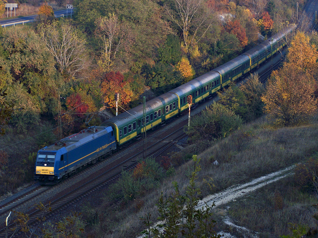 480 012 - 8 Szár (2011.11.02)02