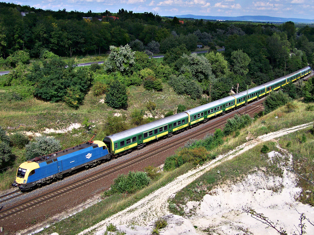 1047 002 - 9 Szár (2011.08.14)