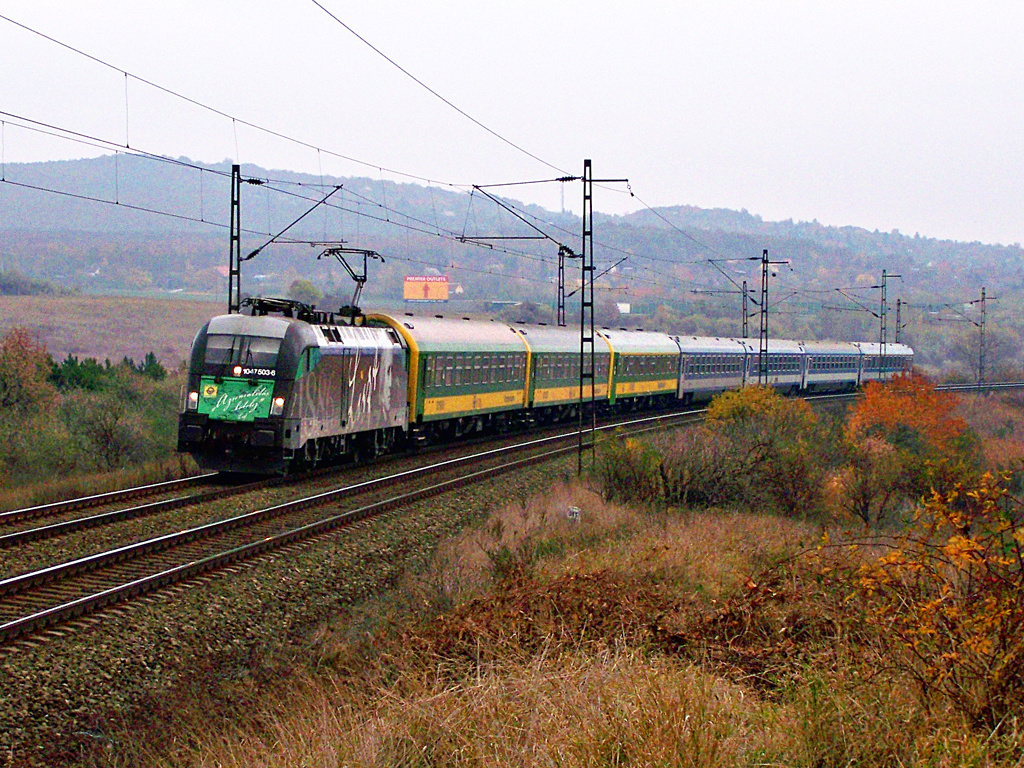 1047 503 - 6 Biatorbágy (2011.11.04)02