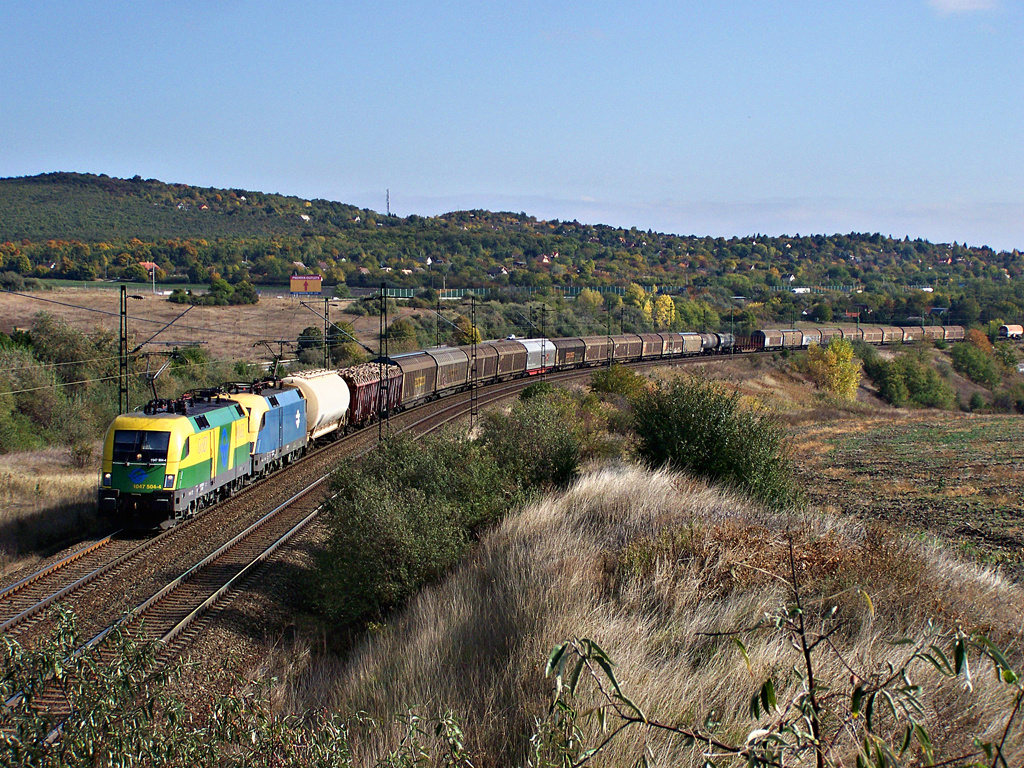 1047 504 - 4 Biatorbágy (2011.10.22)