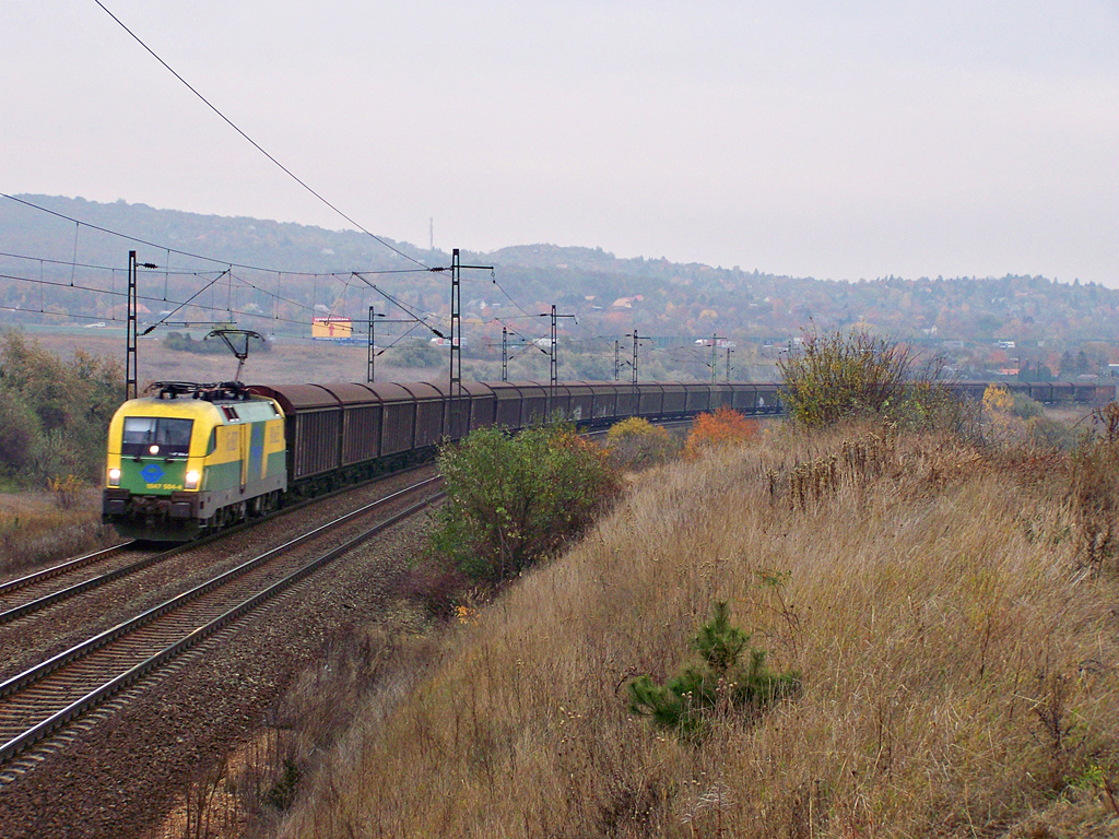 1047 504 - 4 Biatorbágy (2011.11.04)02