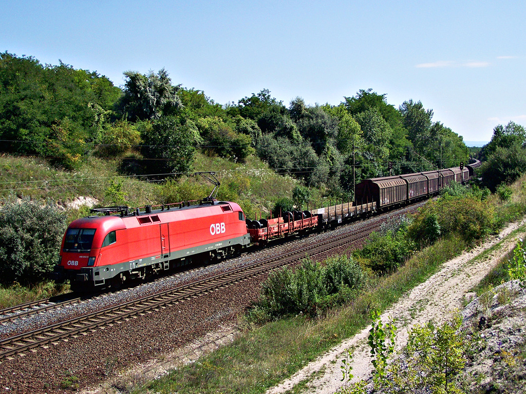 1116 002 - 5 Szár (2011.08.14)