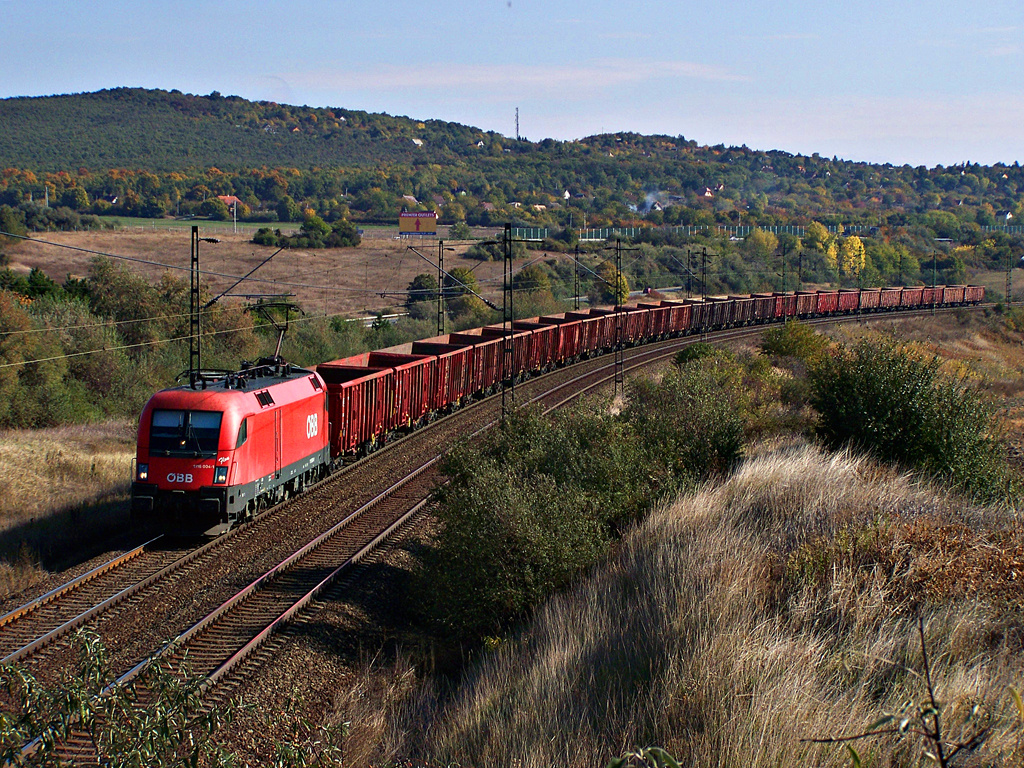 1116 004 - 1 Biatorbágy (2011.10.22)