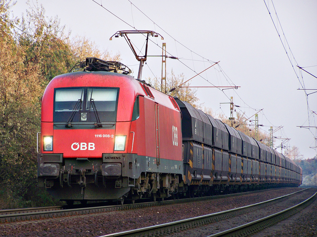 1116 008 - 2 Szár (2011.11.02)