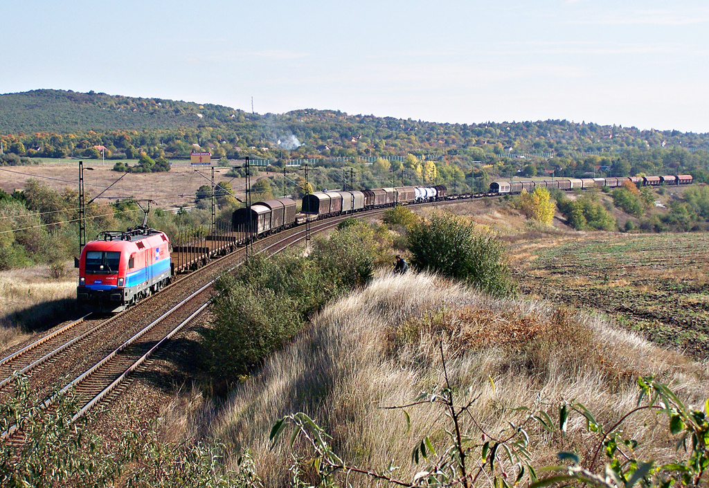 1116 012 - 4 Biatorbágy (2011.10.22)