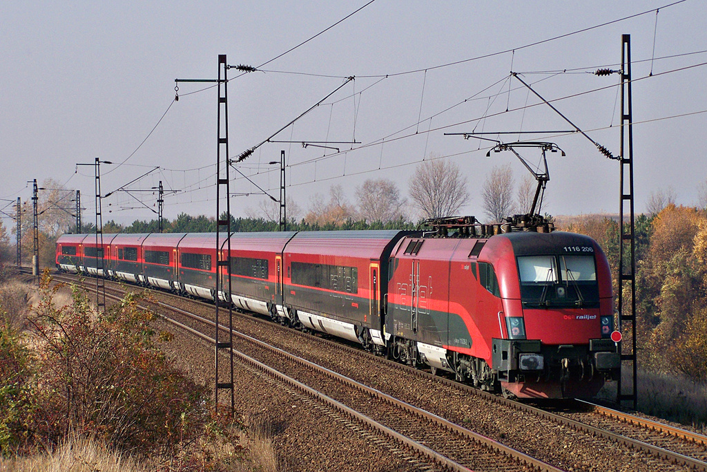 1116 206 - 2 Biatorbágy (2011.11.04)