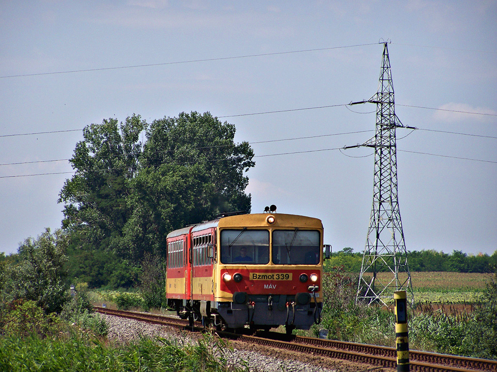 Bzmot - 339 Rétszilas (2011.08.03)01.