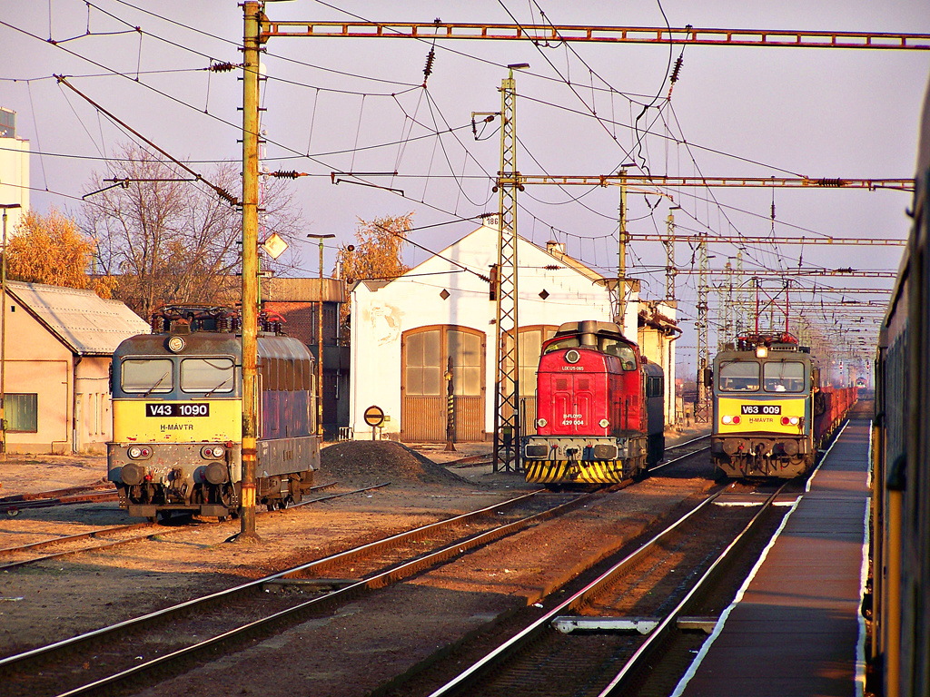 Püspökladány (2011.11.13).