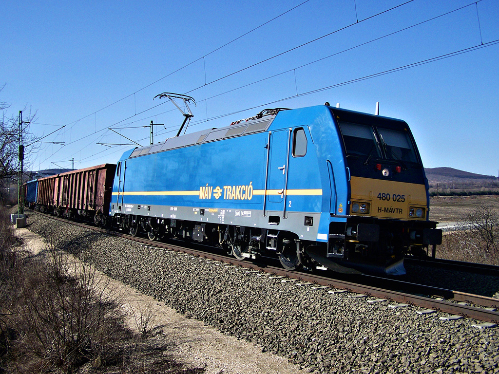 480 025 Törökbálint (2012.03.03).01