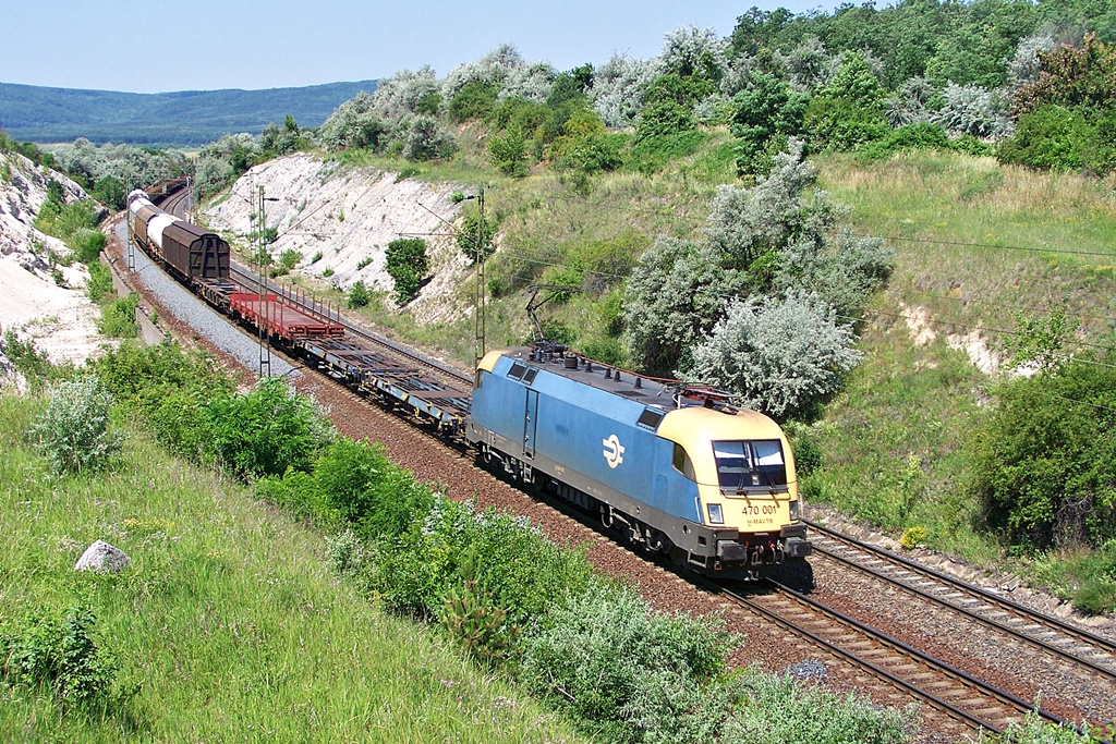 470 001 Szár (2012.06.18).