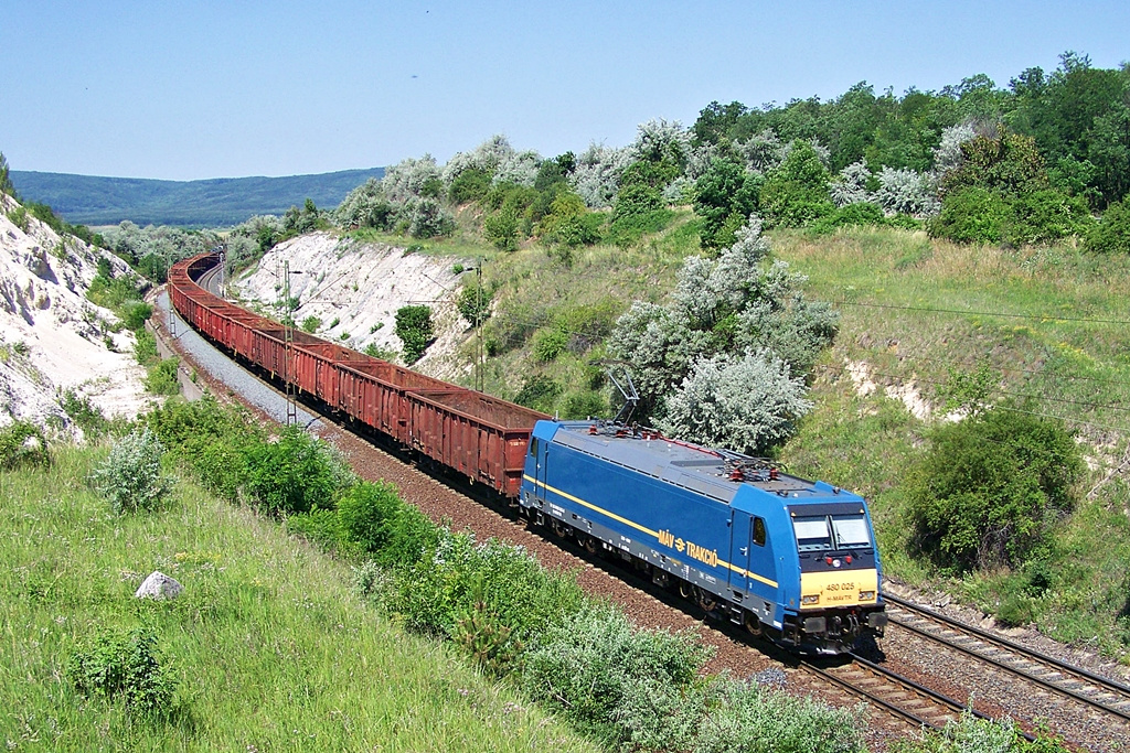 480 025 Szár (2012.06.18).