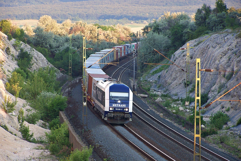 761 001 - 3 Szár (2012.06.18).