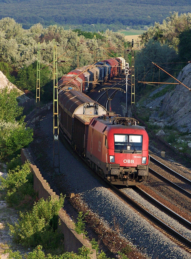 1116 025 - 6 Szár (2012.06.18).