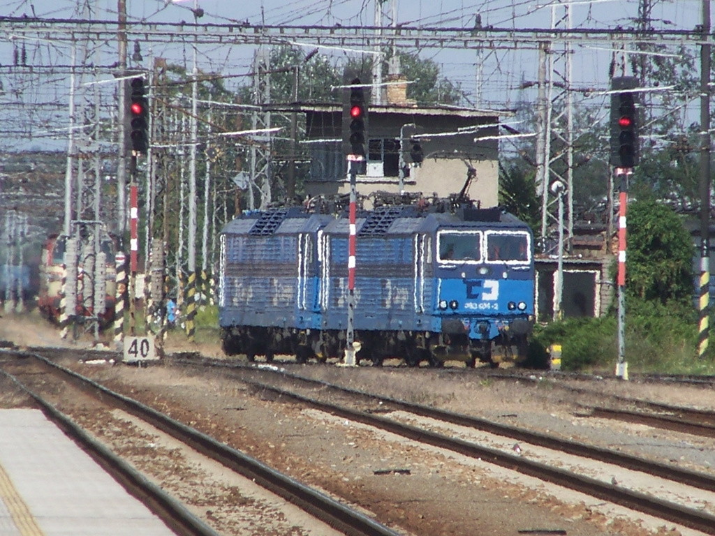 363 004 + 363 XXX Breclav (2012.08.13).