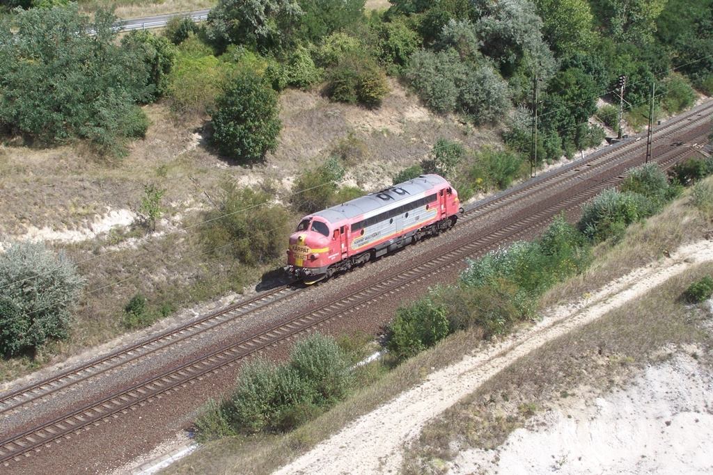 459 021 Szár (2012.08.24).