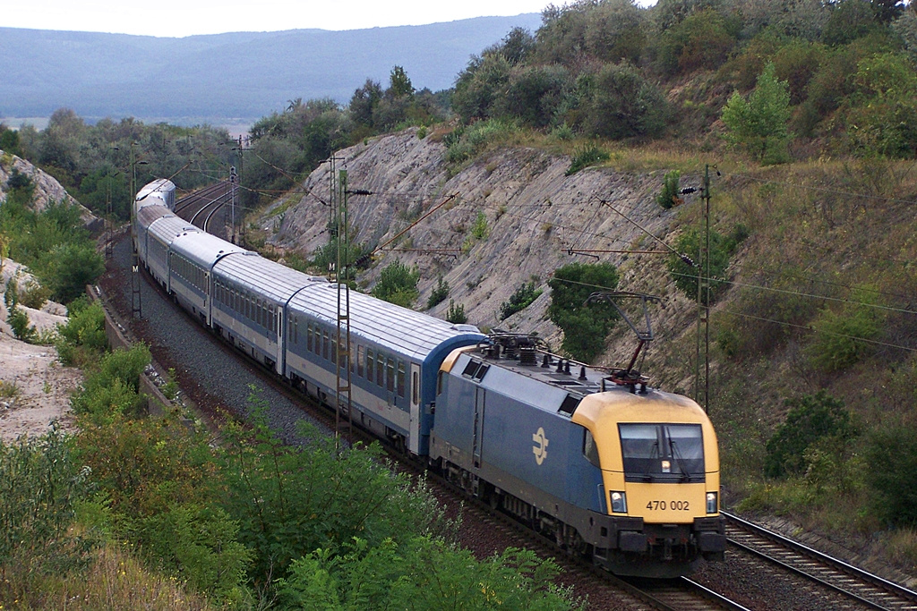 470 002 Szár (2012.08.23).