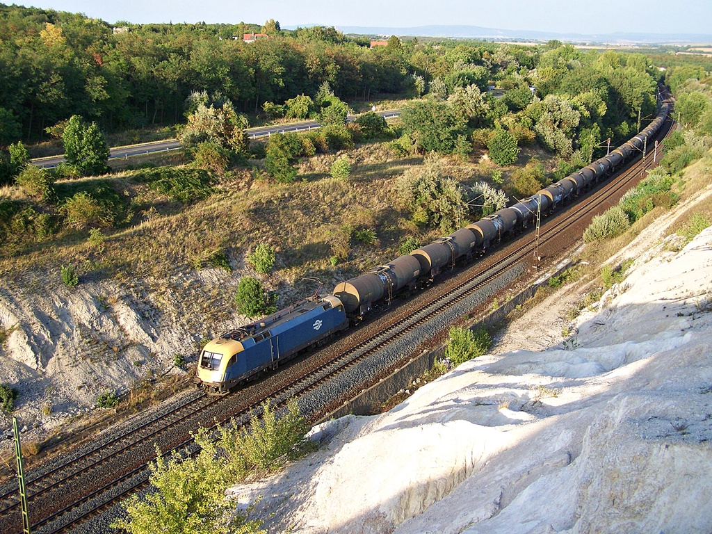 470 003 Szár (2012.08.23).