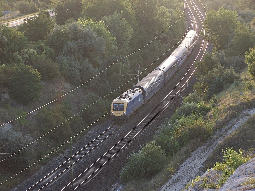 470 004 Szár (2012.08.24).