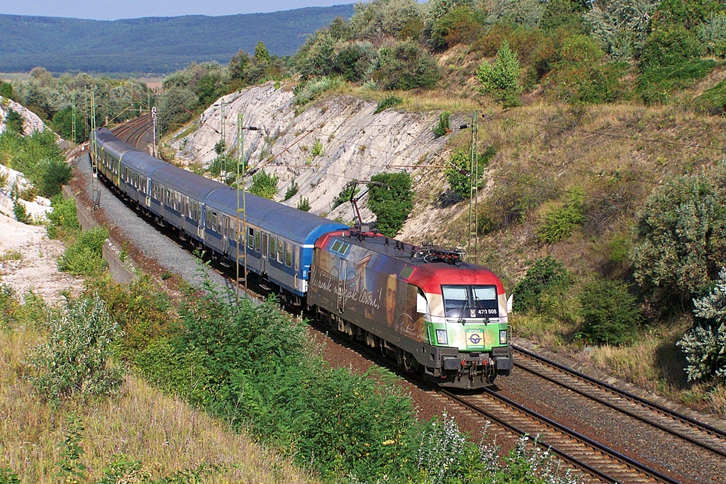 470 505 Szár (2012.08.24).01