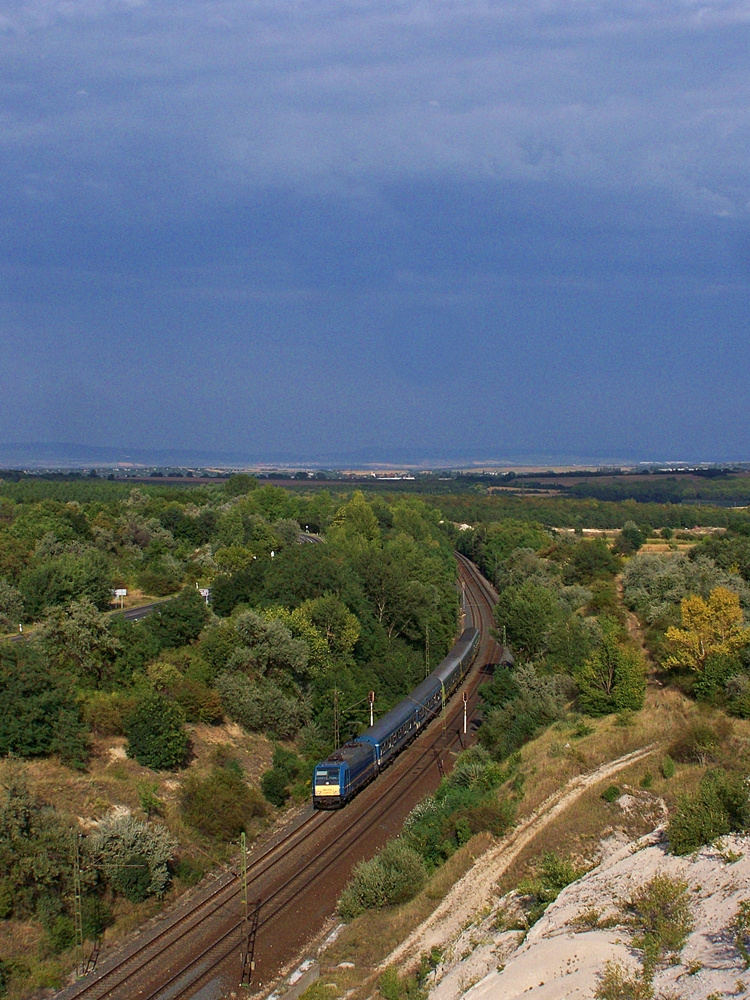 480 014 Szár (2012.08.23).