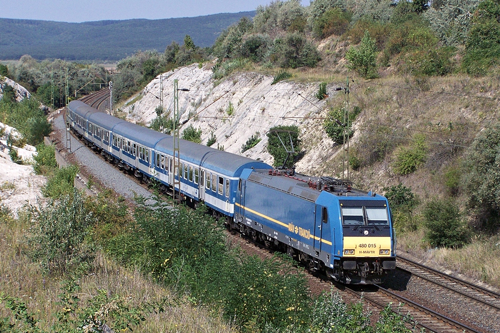 480 015 Szár (2012.08.24).