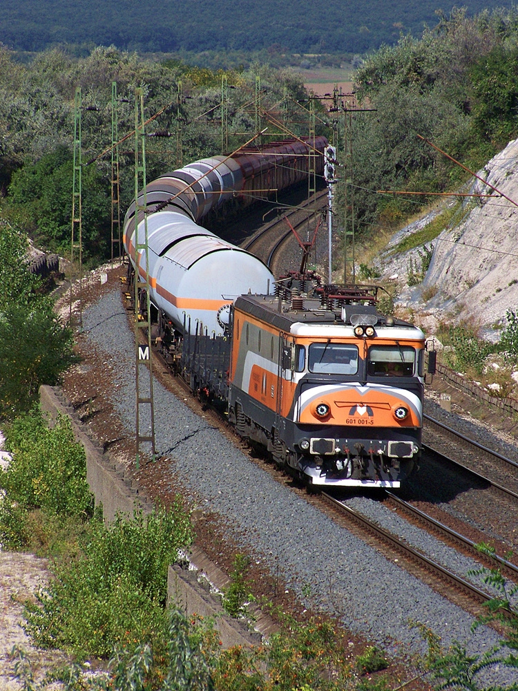 601 001 Szár (2012.08.24).