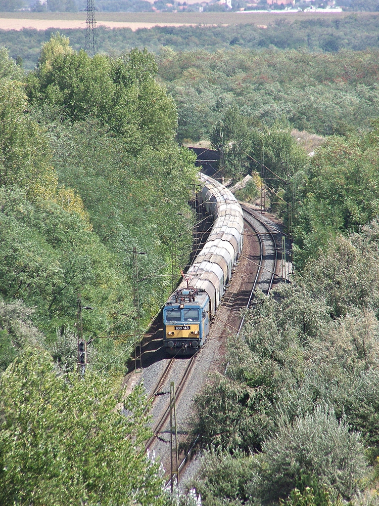 630 143 Szár (2012.08.24).02