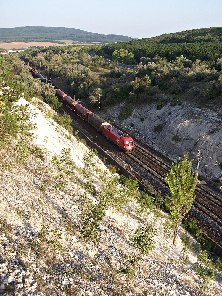 1116 020 Szár (2012.08.24).