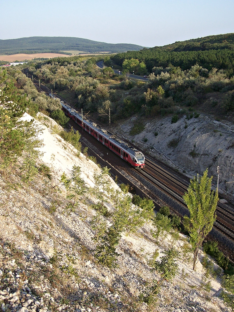 5341 005 Szár (2012.08.24).