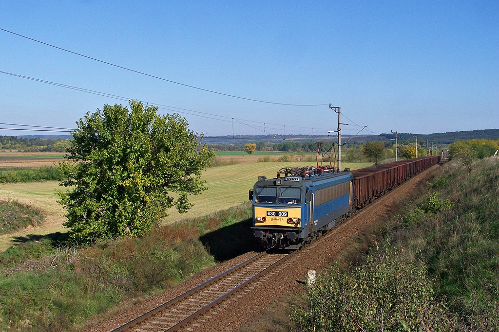 630 009 Csibrák (2012.10.20).