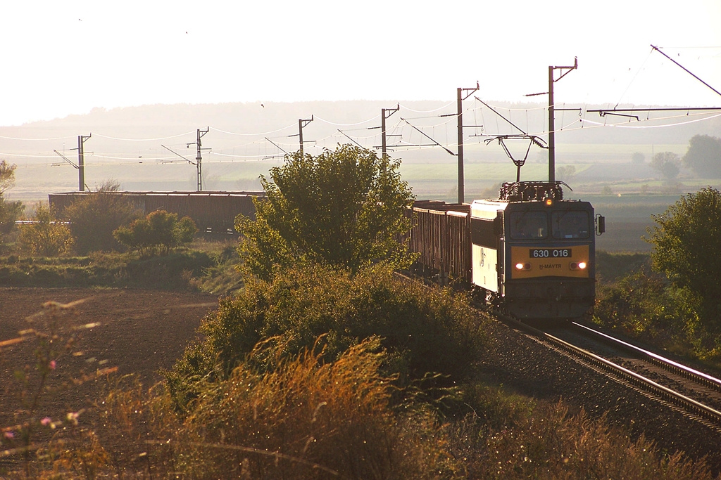 630 016 Csibrák (2012.10.20).