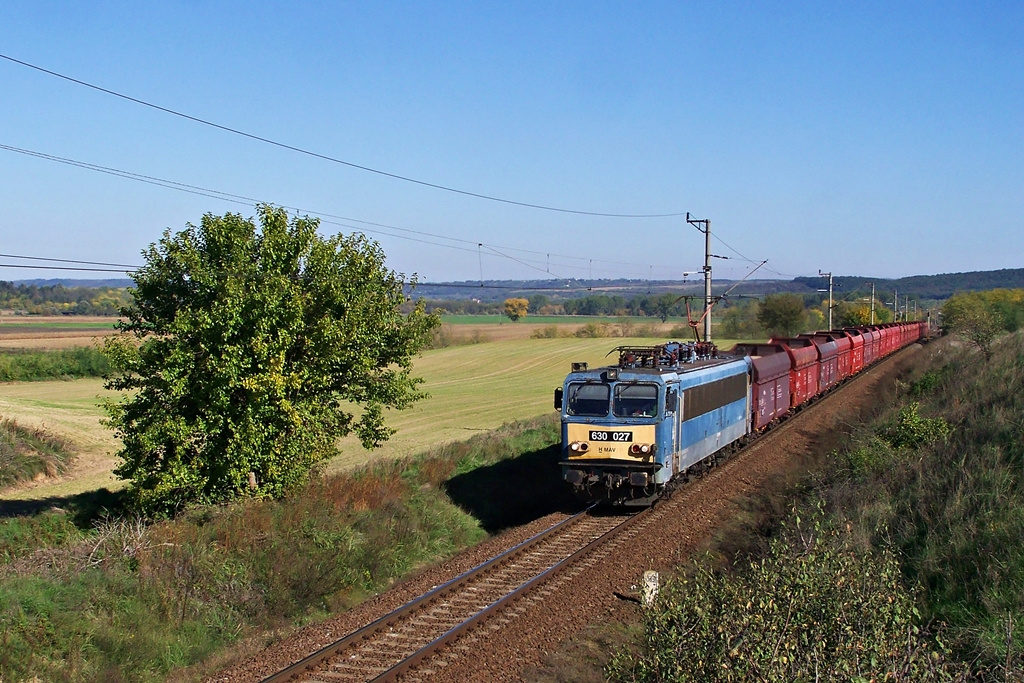 630 027 Csibrák (2012.10.20).