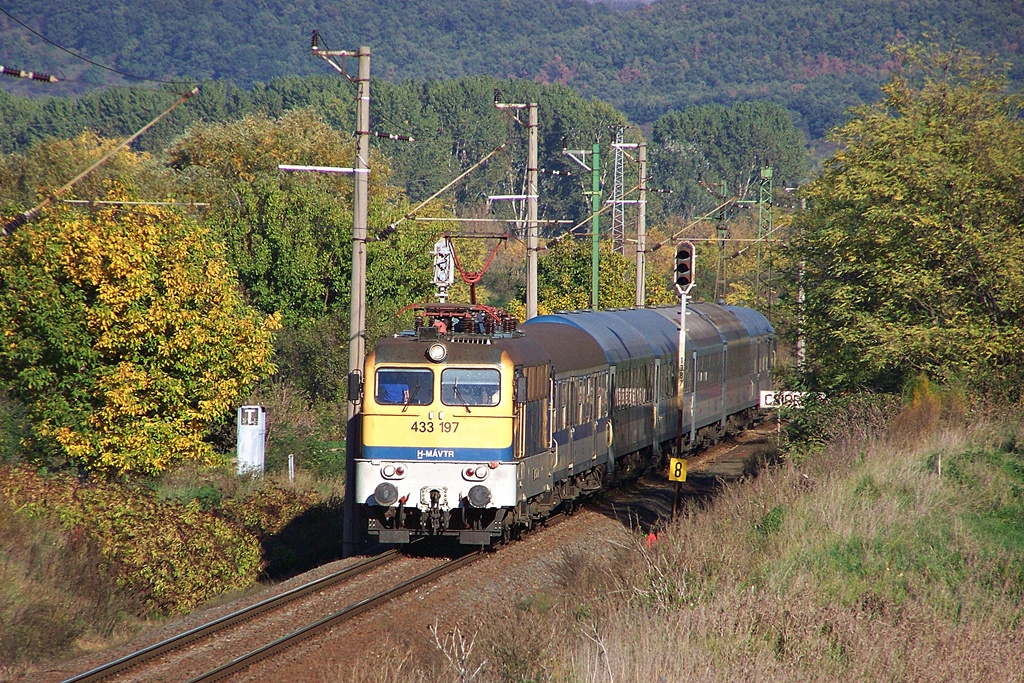 433 197 Csibrák (2012.10.20).02