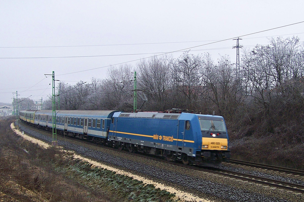 480 025 Törökbálint (2012.12.22).02