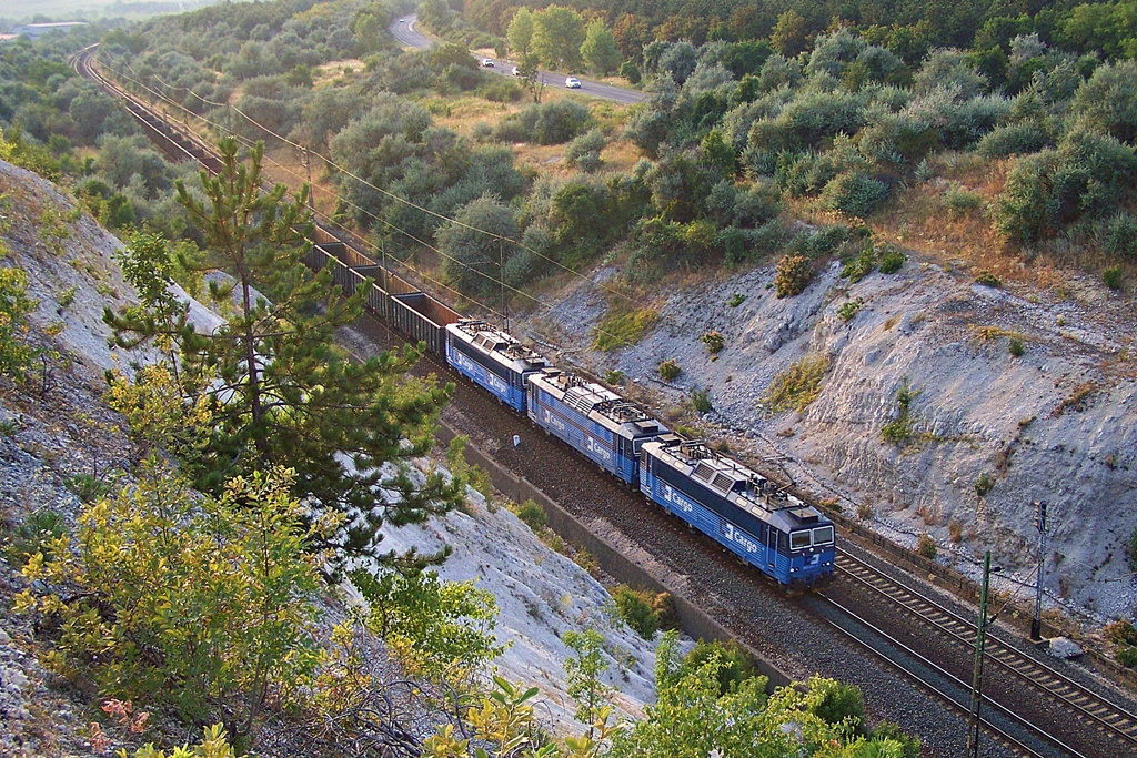 363 516 Szár (2013.08.09).