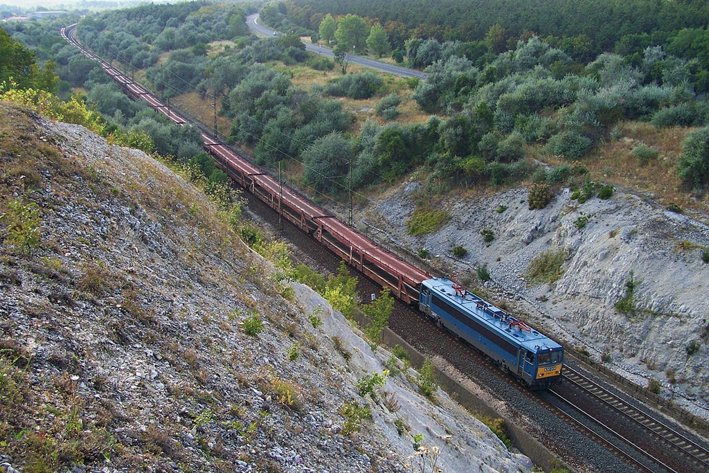 630 006 Szár (2013.08.09).