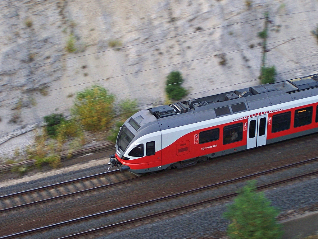 5341 018 Szár (2013.08.09).