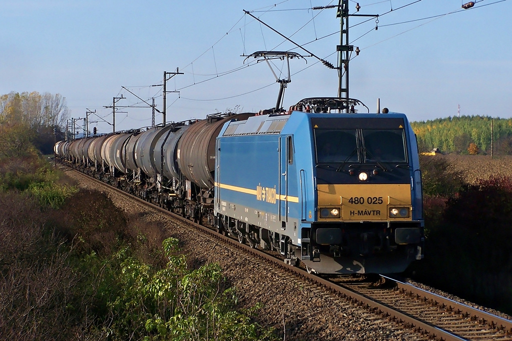 480 025 Dombóvár (2013.10.19)