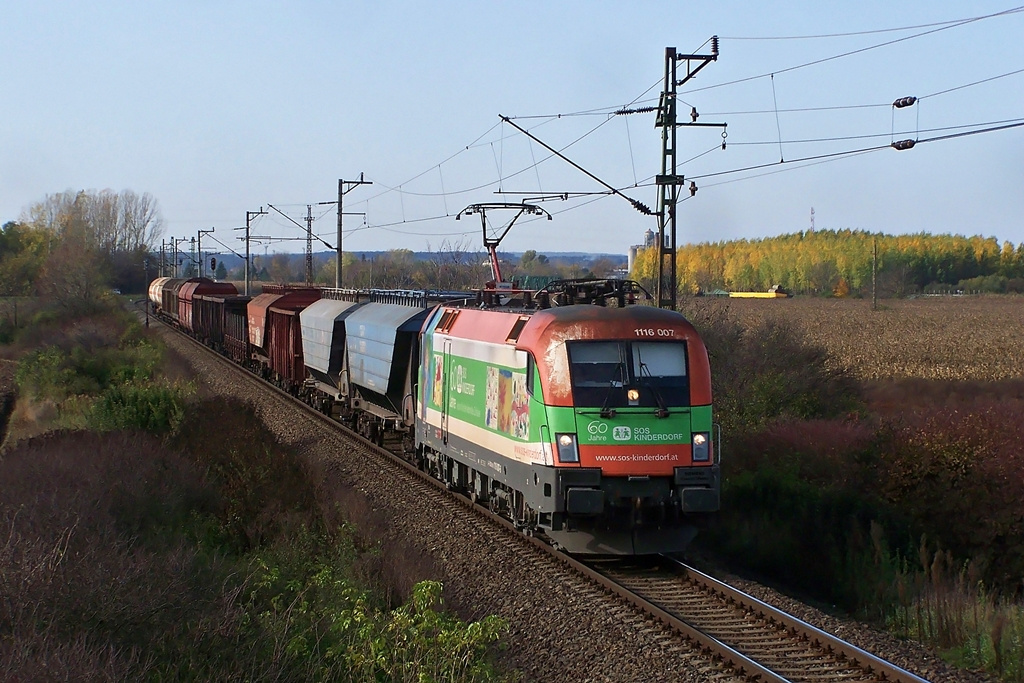 1116 007 Dombóvár (2013.10.23)02