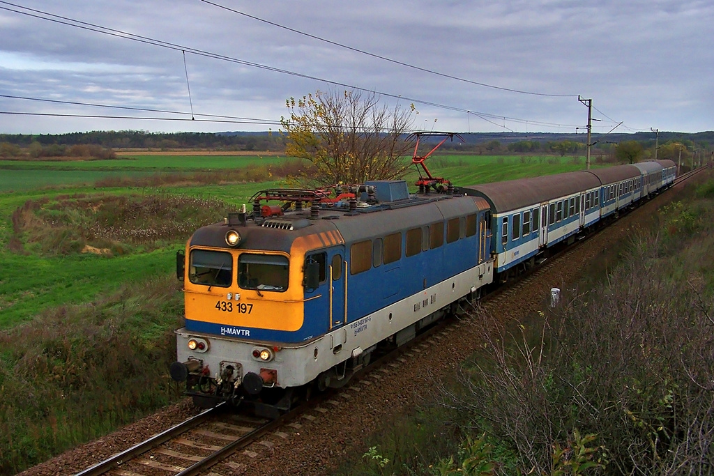 433 197 Csibrák (2013.10.30)02