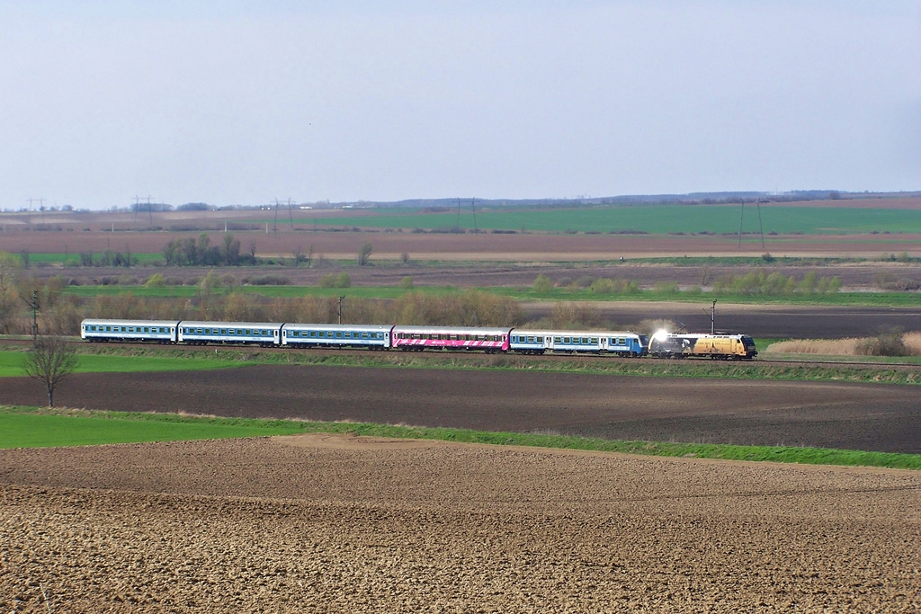 480 005 Dúzs(2014.03.22).